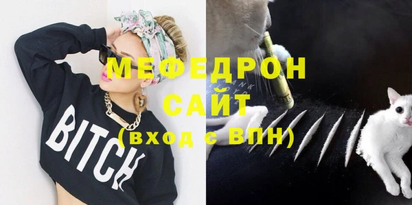 хмурый Аркадак