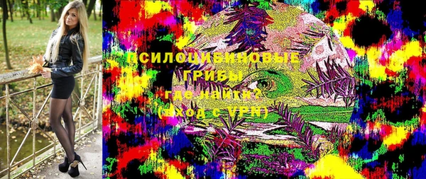 хмурый Аркадак