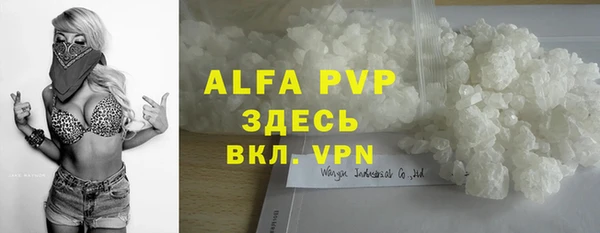 хмурый Аркадак