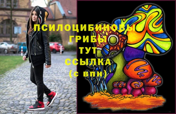 хмурый Аркадак