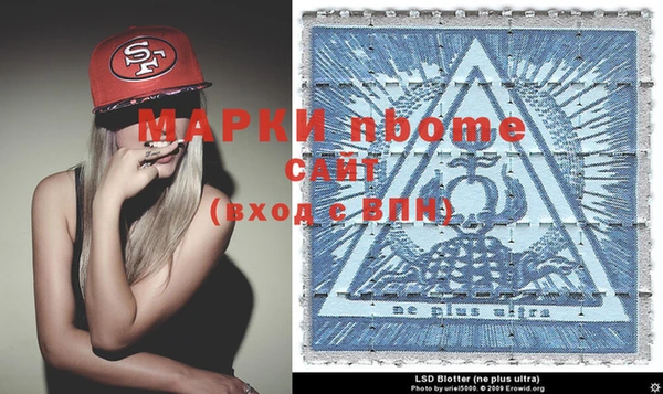 хмурый Аркадак