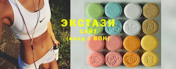 хмурый Аркадак