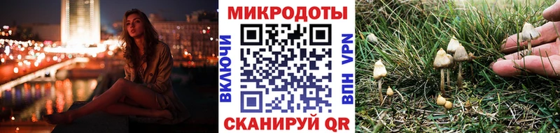 omg маркетплейс  Шлиссельбург  Галлюциногенные грибы прущие грибы 